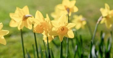 Marine Hotel | Dublin | Spring Offers | 1