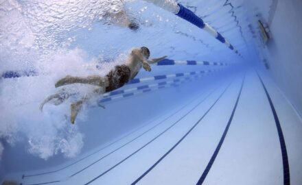 swimmers